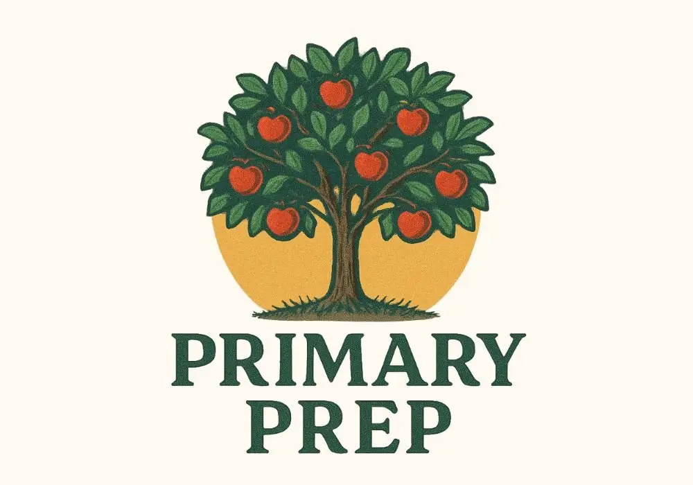 Plant City Learning Center preschool and daycare
